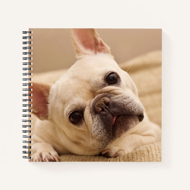 Cutest Baby Animals | French Bulldog Head Tilt Notebook (Front)