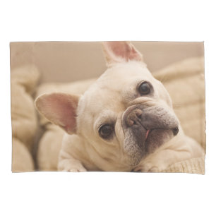 Cutest Baby Animals French Bulldog Head Tilt Pillow Case