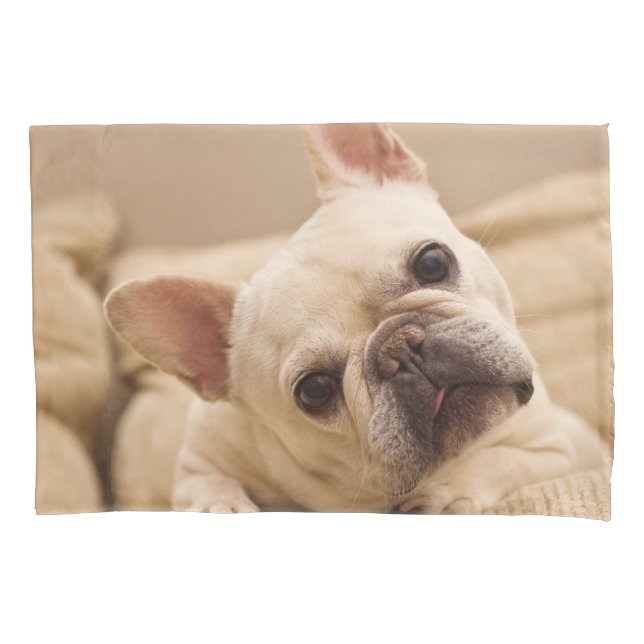 Cutest Baby Animals | French Bulldog Head Tilt Pillow Case (Front)