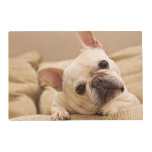 Cutest Baby Animals French Bulldog Head Tilt Placemat