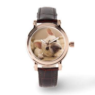 Cutest Baby Animals   French Bulldog Head Tilt Watch