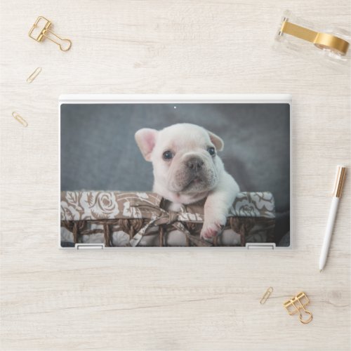 Cutest Baby Animals  French Bulldog HP Laptop Skin