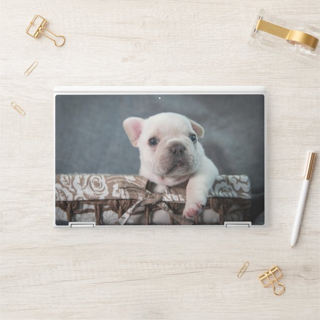 Cutest Baby Animals | French Bulldog HP Laptop Skin (Desk)