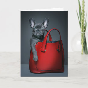 Cutest Baby Animals   French Bulldog in Handbag Card
