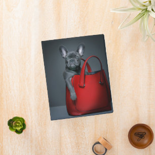 Cutest Baby Animals French Bulldog in Handbag Mini Binder