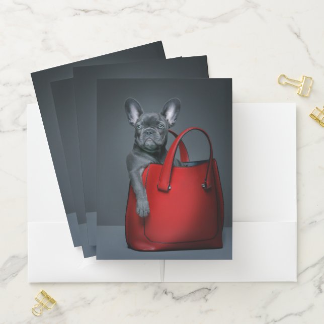 Cutest Baby Animals | French Bulldog in Handbag Pocket Folder (In Situ)