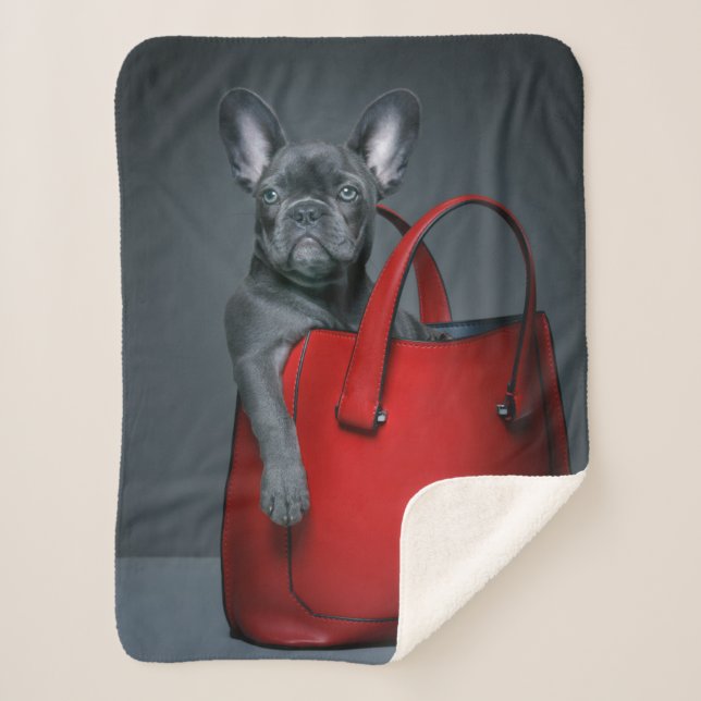 Cutest Baby Animals | French Bulldog in Handbag Sherpa Blanket (Front)