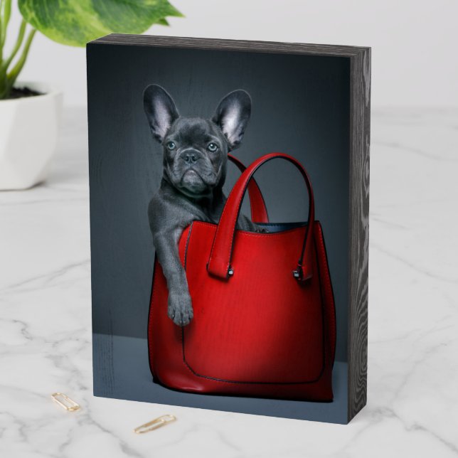 Cutest Baby Animals | French Bulldog in Handbag Wooden Box Sign (In Situ Vertical)