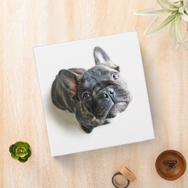 Cutest Baby Animals | French Bulldog Look Up 3 Ring Binder (In Situ)