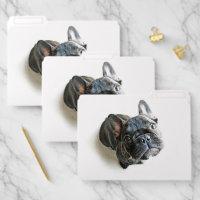Cutest Baby Animals | French Bulldog Look Up