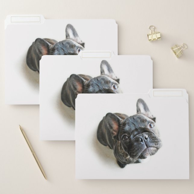 Cutest Baby Animals | French Bulldog Look Up File Folder (Set)