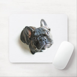 Cutest Baby Animals French Bulldog Look Up Mouse Pad