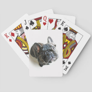 Cutest Baby Animals French Bulldog Look Up Poker Cards