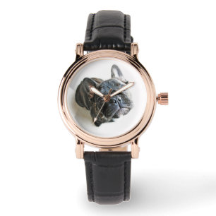 Cutest Baby Animals French Bulldog Look Up Watch