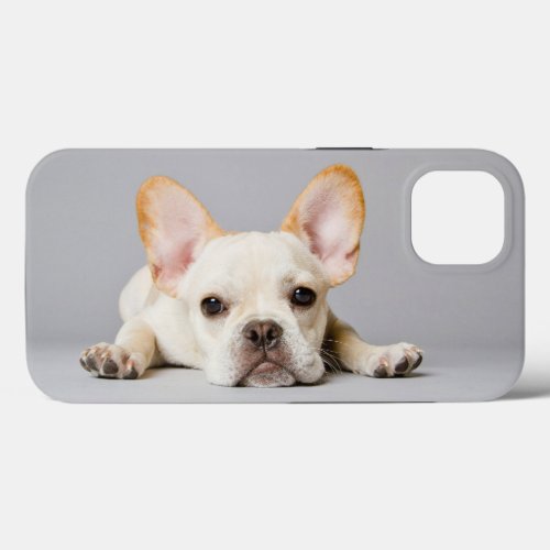 Cutest Baby Animals  French Bulldog Lying Down iPhone 13 Case