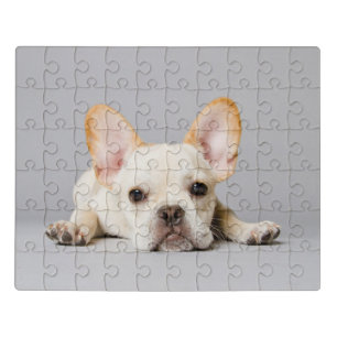 Cutest Baby Animals   French Bulldog Lying Down Jigsaw Puzzle