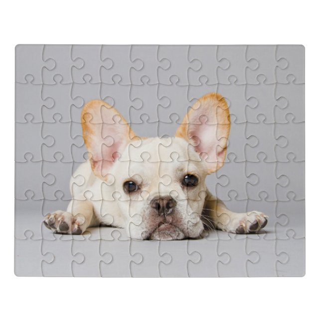 Cutest Baby Animals | French Bulldog Lying Down Jigsaw Puzzle (Puzzle Horizontal)