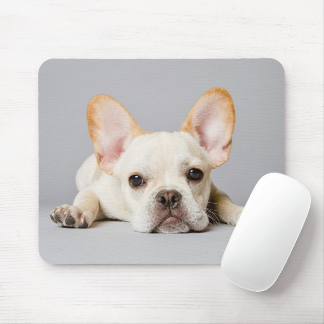 Cutest Baby Animals | French Bulldog Lying Down Mouse Pad (With Mouse)