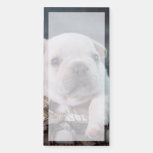 Cutest Baby Animals French Bulldog Magnetic Notepad