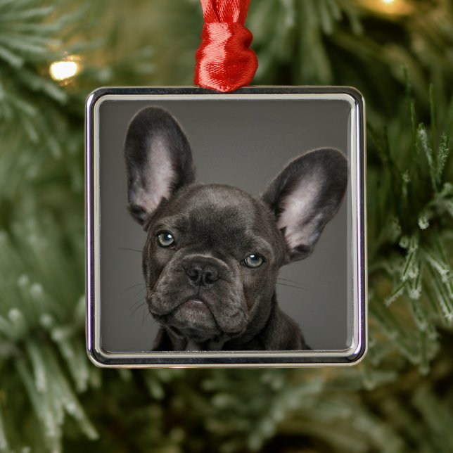 Cutest Baby Animals | French Bulldog Metal Ornament (Tree)