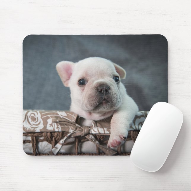 Cutest Baby Animals | French Bulldog Mouse Pad (With Mouse)