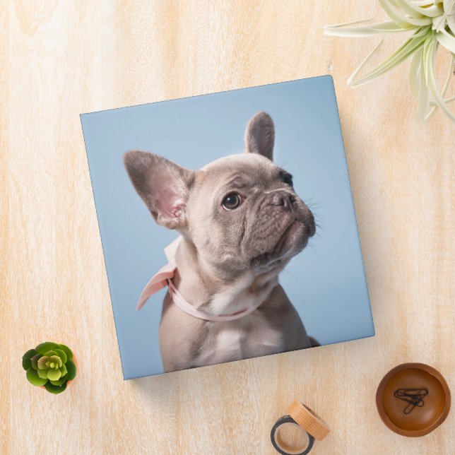 Cutest Baby Animals | French Bulldog Pink Bow 3 Ring Binder (In Situ)