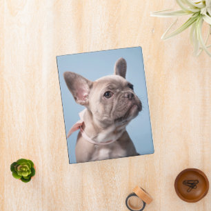 Cutest Baby Animals   French Bulldog Pink Bow Mini Binder