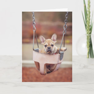 Cutest Baby Animals   French Bulldog Playground Card