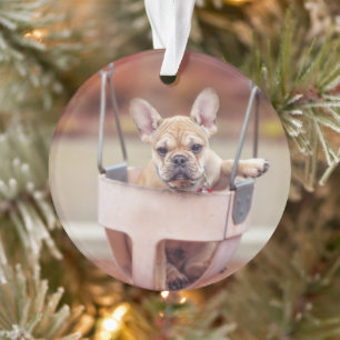 Cutest Baby Animals French Bulldog Playground Ornament