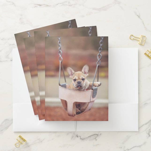 Cutest Baby Animals | French Bulldog Playground Pocket Folder (In Situ)