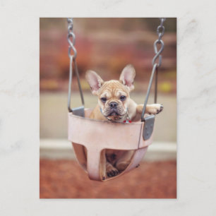 Cutest Baby Animals French Bulldog Playground Postcard