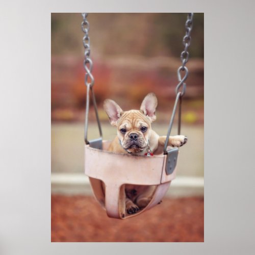 Cutest Baby Animals  French Bulldog Playground Poster