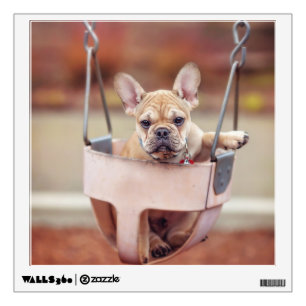 Cutest Baby Animals   French Bulldog Playground Wall Decal