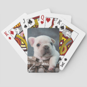 Cutest Baby Animals French Bulldog Poker Cards