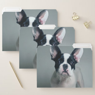 Cutest Baby Animals French Bulldog Puppy File Folder