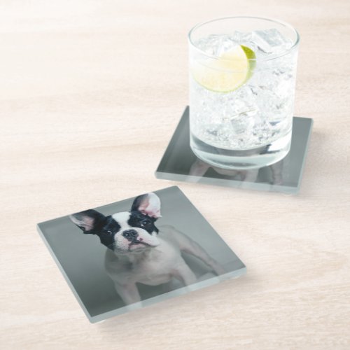 Cutest Baby Animals  French Bulldog Puppy Glass Coaster