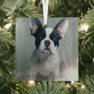 Cutest Baby Animals French Bulldog Puppy Glass Ornament