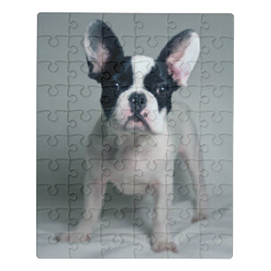 Cutest Baby Animals French Bulldog Puppy Jigsaw Puzzle