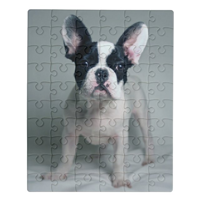 Cutest Baby Animals | French Bulldog Puppy Jigsaw Puzzle (Puzzle Vertical)