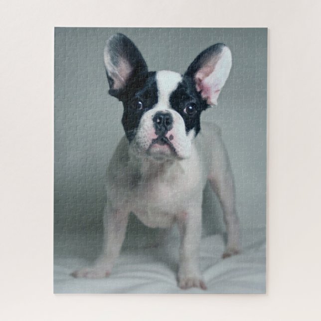 Cutest Baby Animals | French Bulldog Puppy Jigsaw Puzzle (Vertical)