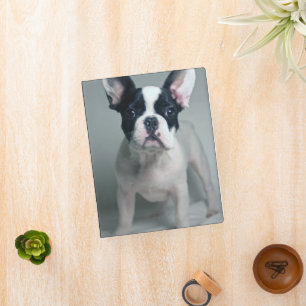 Cutest Baby Animals   French Bulldog Puppy Mini Binder