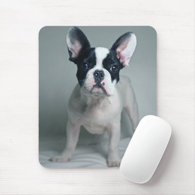 Cutest Baby Animals | French Bulldog Puppy Mouse Pad (With Mouse)
