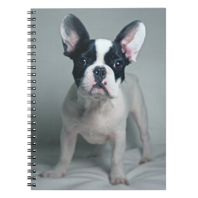 Cutest Baby Animals | French Bulldog Puppy Notebook (Front)