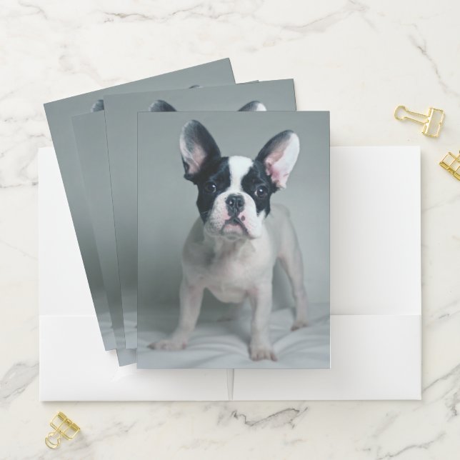 Cutest Baby Animals | French Bulldog Puppy Pocket Folder (In Situ)