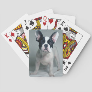 Cutest Baby Animals French Bulldog Puppy Poker Cards