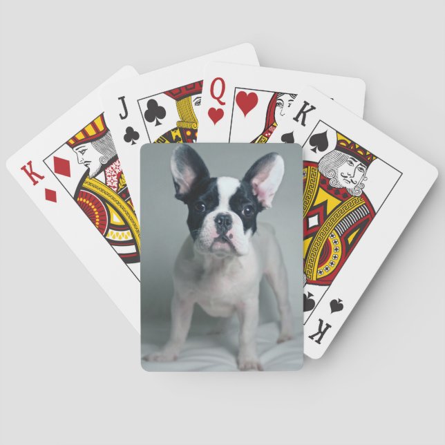 Cutest Baby Animals | French Bulldog Puppy Poker Cards (Back)