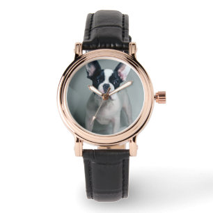 Cutest Baby Animals French Bulldog Puppy Watch