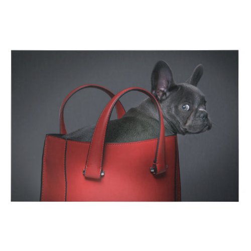 Cutest Baby Animals  French Bulldog Red Hand Bag Faux Canvas Print