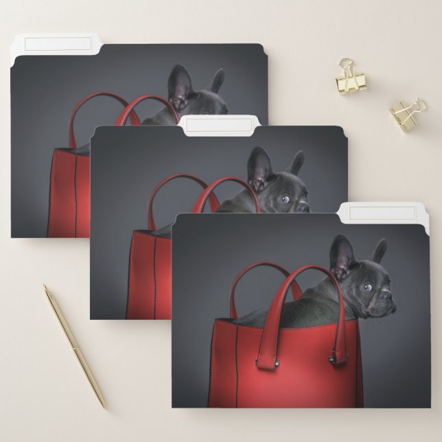 Cutest Baby Animals | French Bulldog Red Hand Bag File Folder (Set)