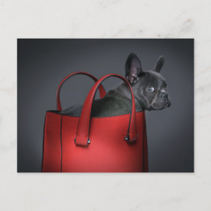 Cutest Baby Animals   French Bulldog Red Hand Bag Postcard